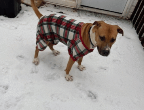 Sheltering from the Storm: A Community United