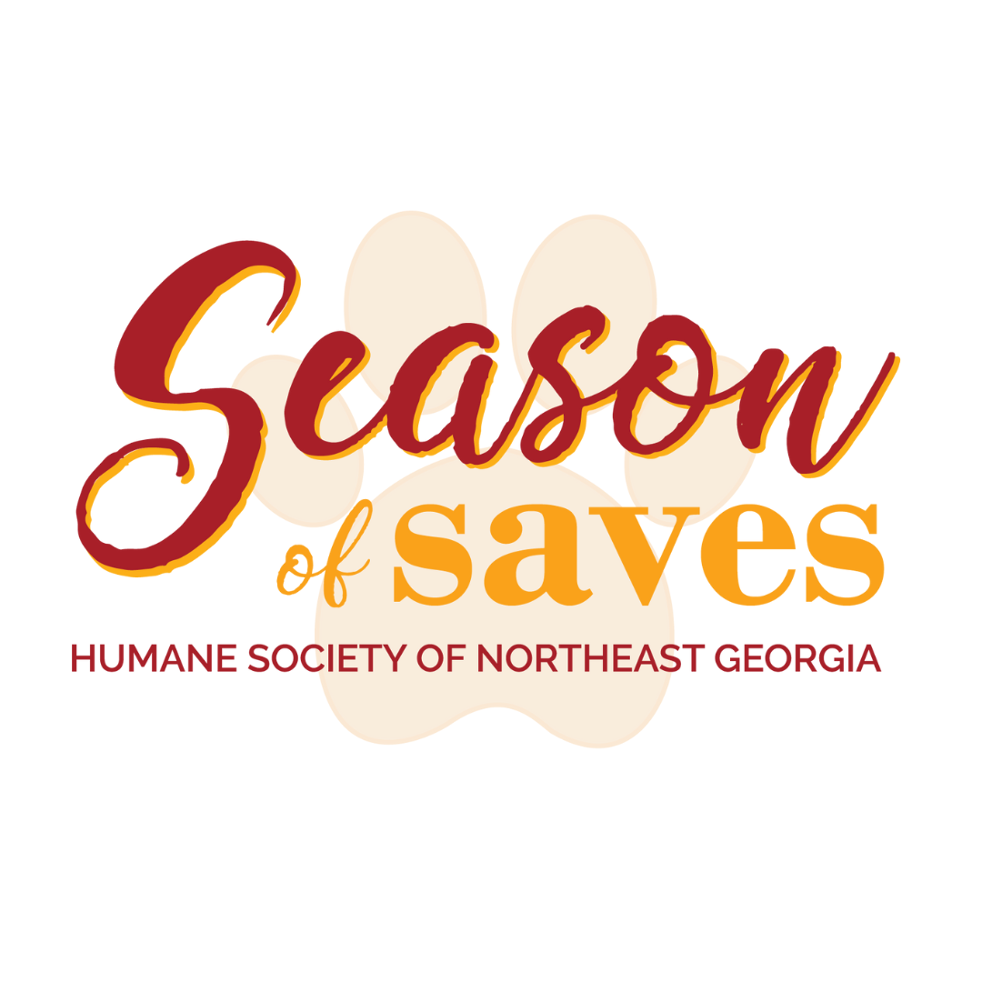 HSNEGA Season Of Saves 2023