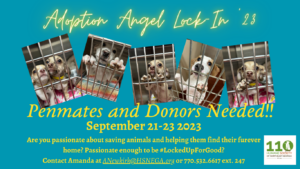 Donations - Alabama Angels Dog Rescue