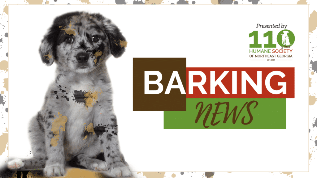 Barking News & Events