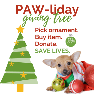 PAW-liday Giving Tree