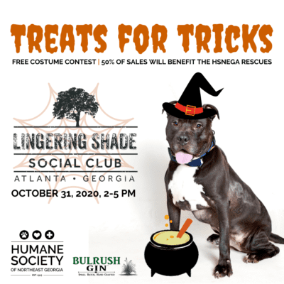 Treats for Tricks