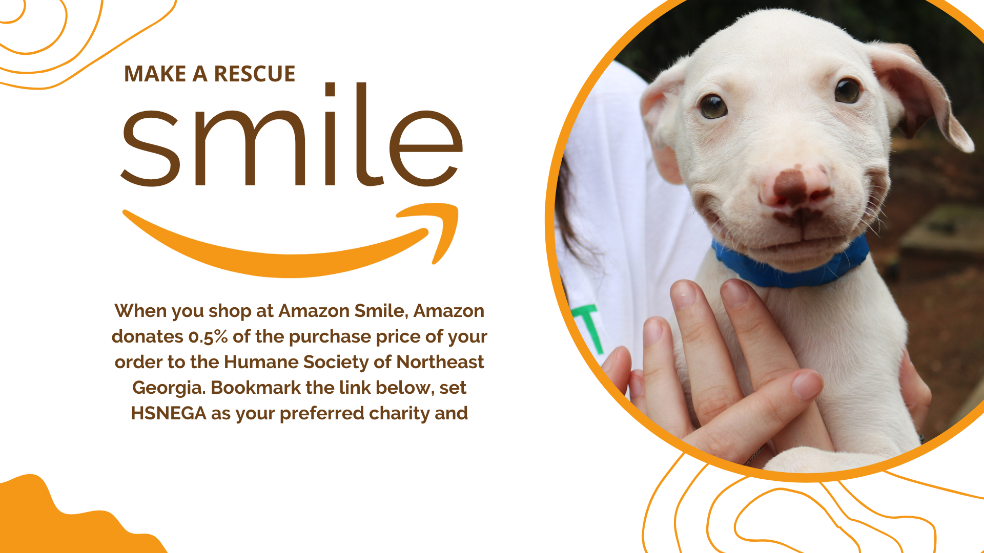 Humane Society Griffin Ga: A Beacon Of Hope For Abandoned And Abused Animals