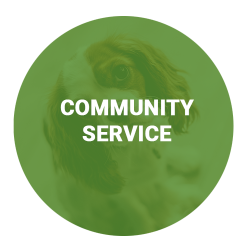 community-service