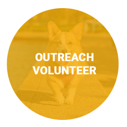 outreach-volunteer