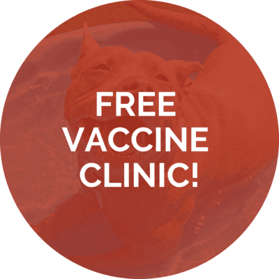 Free Vaccine Clinic