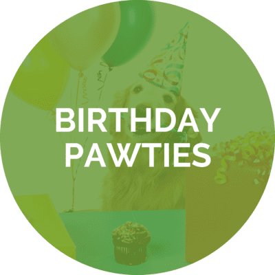 Birthday PAWties